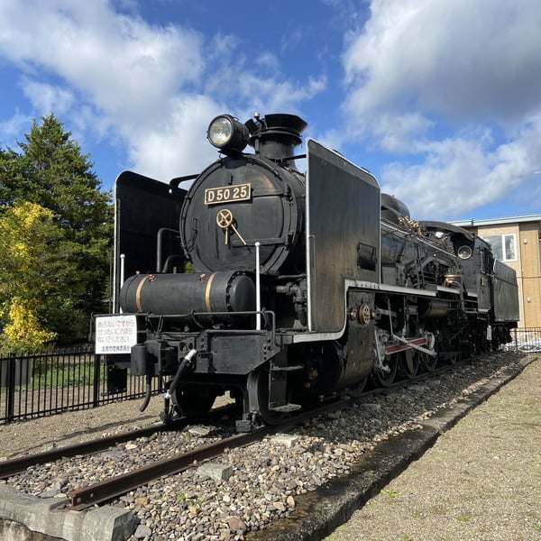D50型蒸気機関車(D50 25)